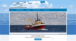Desktop Screenshot of ampeste.ro
